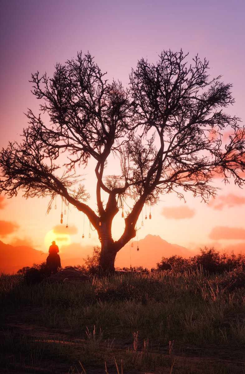 Red Dead Redemption II