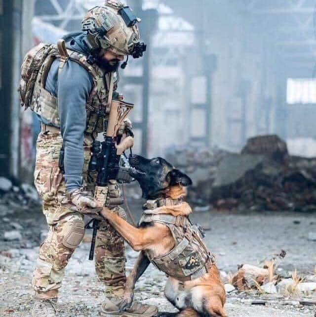 On a scale from 1 - 10 how beautiful is this photo?
