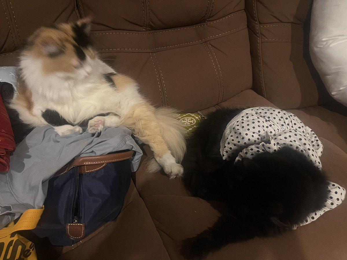 Meninggalkan mislod sampai malam, jd sedih🥲