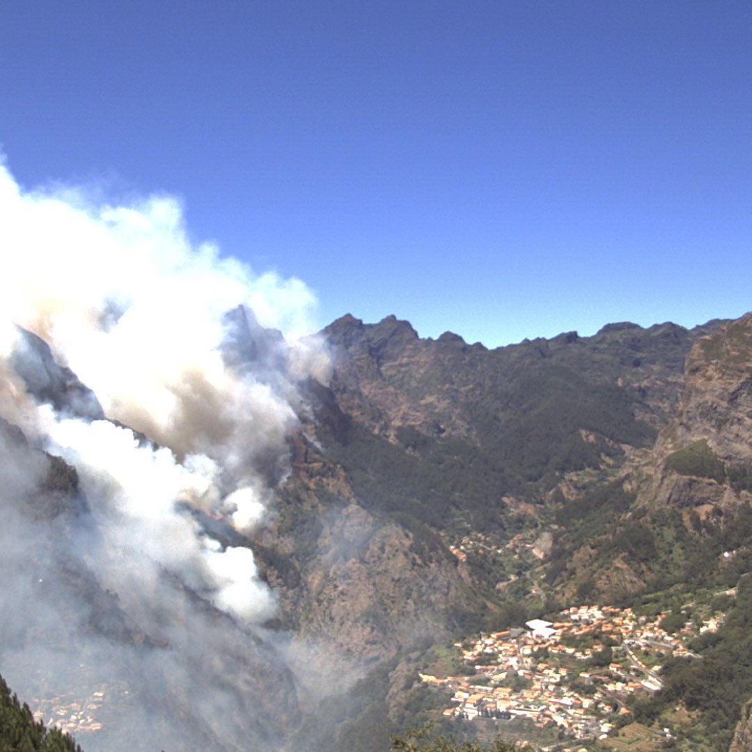 Hugo Romano tweet media