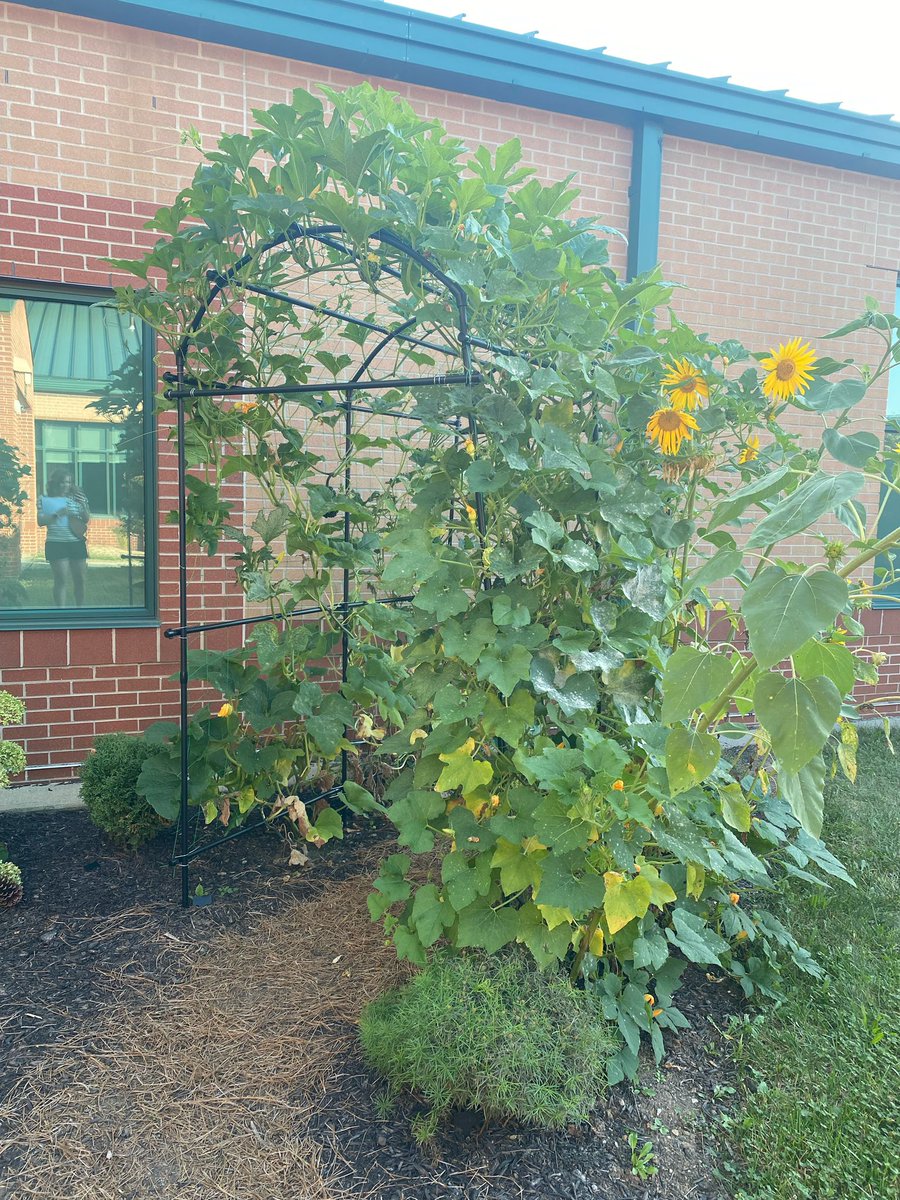 NCEPTO's tweet photo. We got a tour of the courtyard at the PTO meeting last week. The landscaping is not only beautiful and unique, but will provide countless opportunities for lessons! Thank you, Mrs. Hassler, for your creative vision! @tarynhassler https://t.co/wh9dMfWDVa