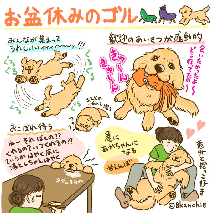 お盆休みのゴル🥒🍆
#ゴールデンレトリバー
#犬のイラスト
#お盆休み 