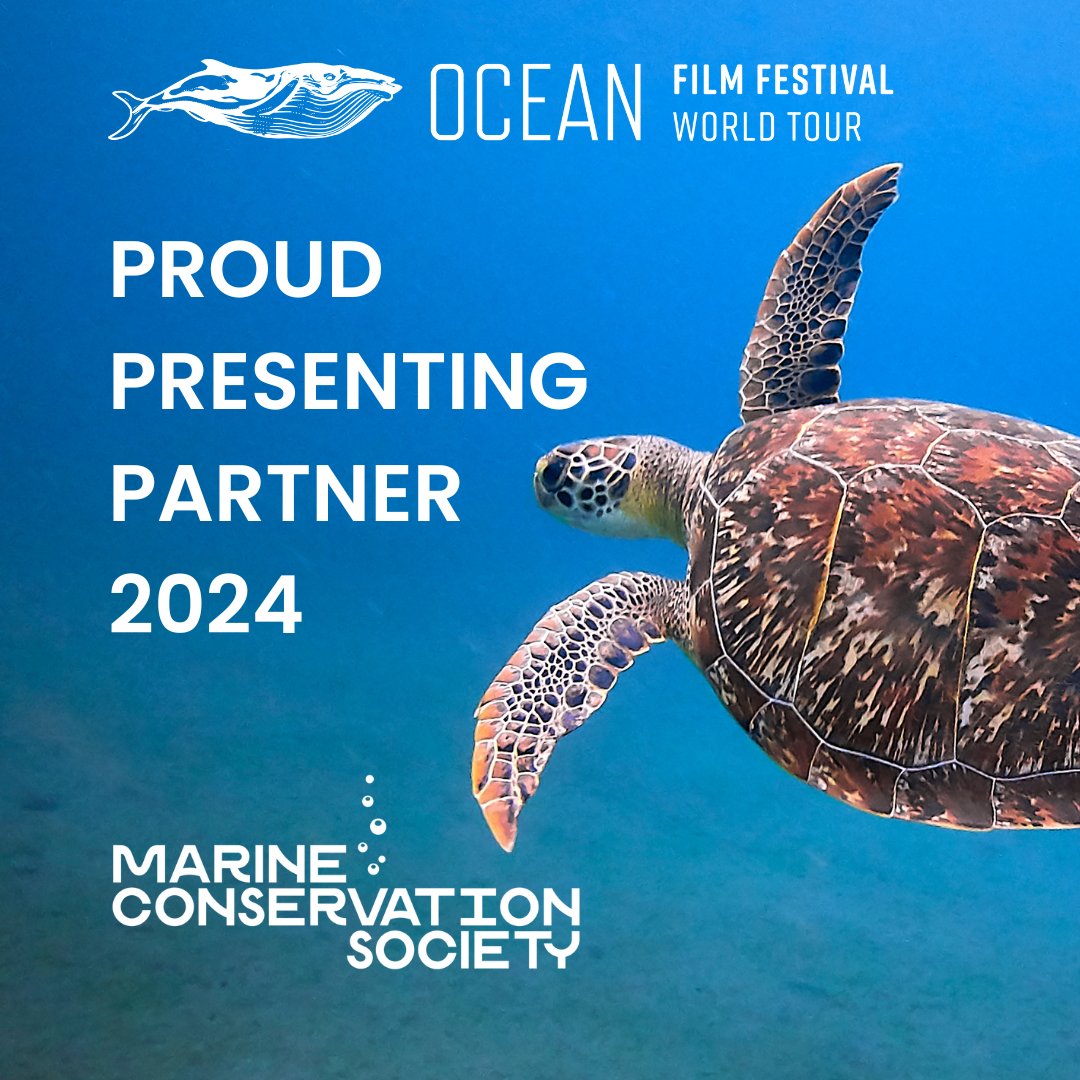 Marine Conservation Society tweet media