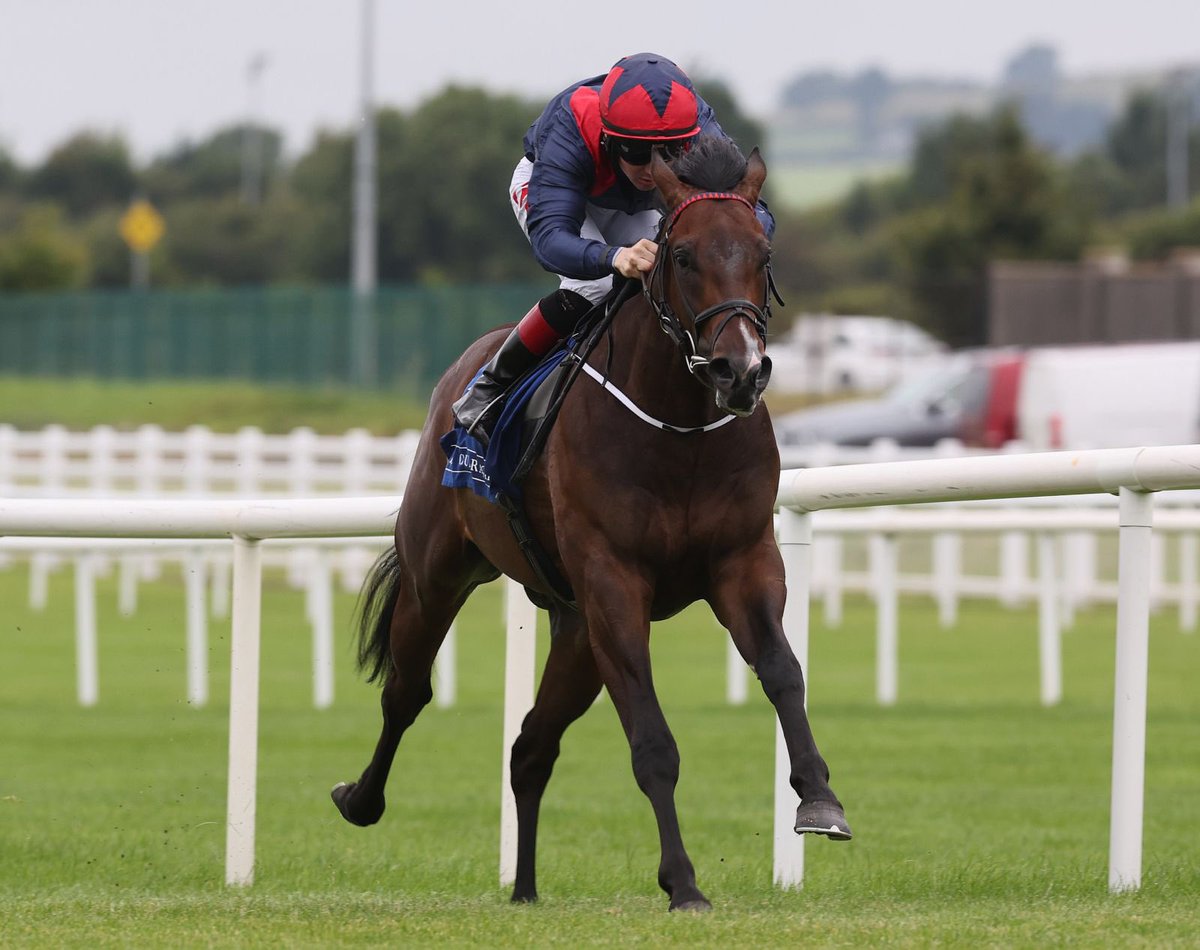 The Curragh Racecourse (@curraghrace) on Twitter photo Distant Seas takes <a href="/IrishEBF_/">Irish Stallion Farms</a> Median Sires Series Maiden under <a href="/ctkjockey/">Colin Keane</a> for trainer <a href="/MDOCallaghan/">Michael OโCallaghan</a> โจ๐
Congratulations to all connections. Distant Seas takes <a href="/IrishEBF_/">Irish Stallion Farms</a> Median Sires Series Maiden under <a href="/ctkjockey/">Colin Keane</a> for trainer <a href="/MDOCallaghan/">Michael OโCallaghan</a> โจ๐
Congratulations to all connections.