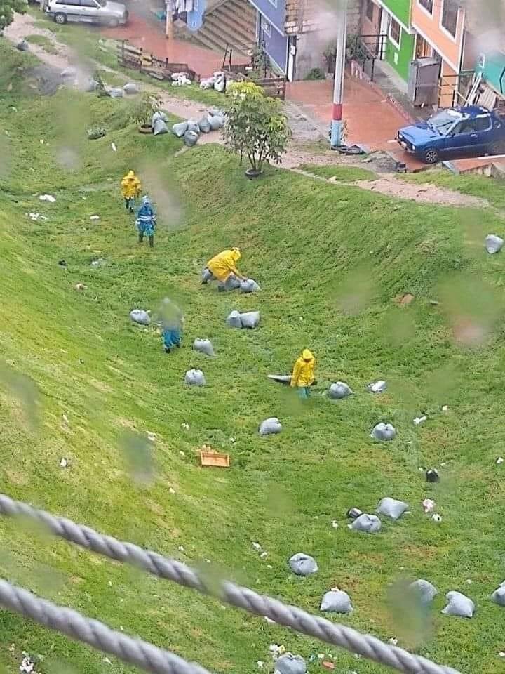 Algunos se ríen de las personas cuyo trabajo es recoger basura 🗑, pero las personas que recogen basura son mejores a las que la tiran 🌳❤️