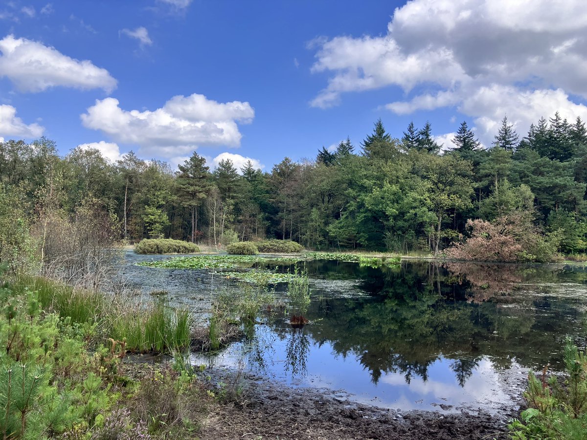 Erik Jan Bakker tweet media