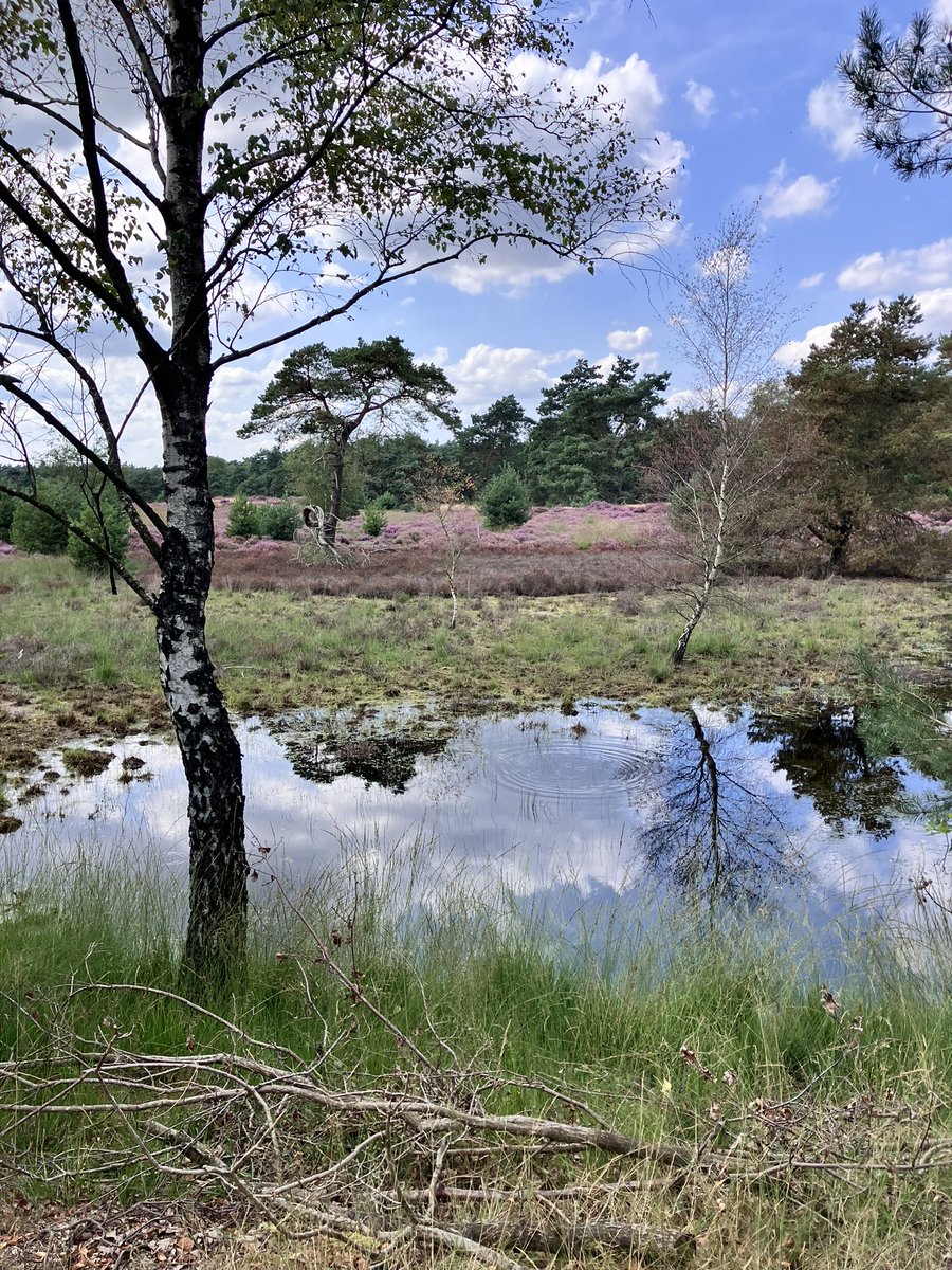 Erik Jan Bakker tweet media