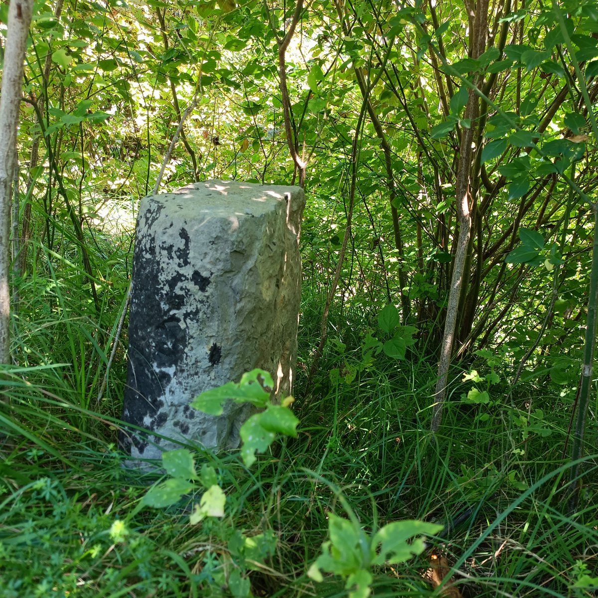 Some of the other ones.
(BTW: I love old stones! 🤍)
3/3