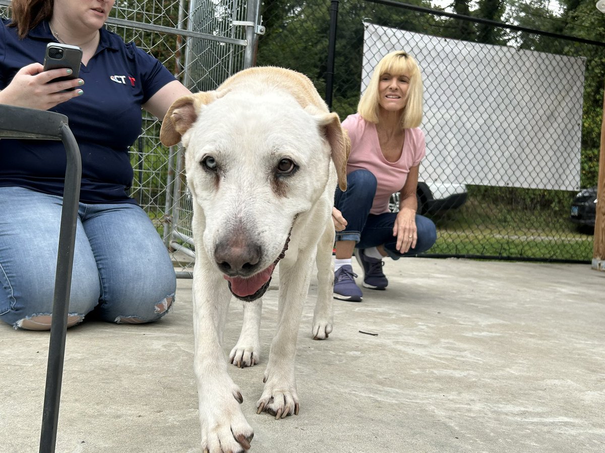 Kevin Gaiss tweet media