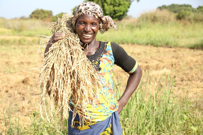 leFIDA's tweet photo. Le point de départ pour un monde libéré de la faim et de la pauvreté, c’est le monde rural 🌏 🌾 https://t.co/Ozs0aaNRFm