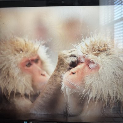 ZucchiniMangler's tweet photo. #NewProfilePic https://t.co/EUFBVdYxHi
