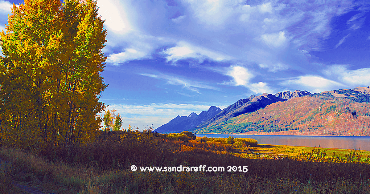ReffSandra's tweet photo. Autumn in the Tetons #tetons #Autumn #landscapephotography https://t.co/Dr94dXSUnU