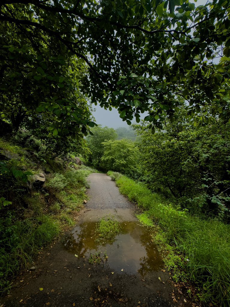 📍Jizã, Arábia Saudita ⛰️