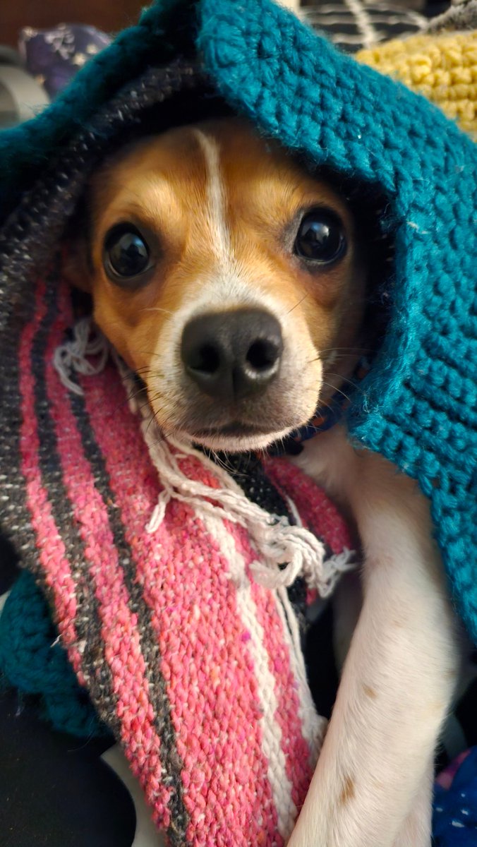 Disabled Trash Witch♿ tweet media