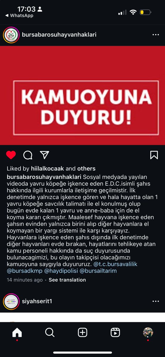 BURSA BAROSU HAYVAN HAKLARI AÇIKLAMASI 
#ebruderinceylan #bursa #hayvanaeziyet