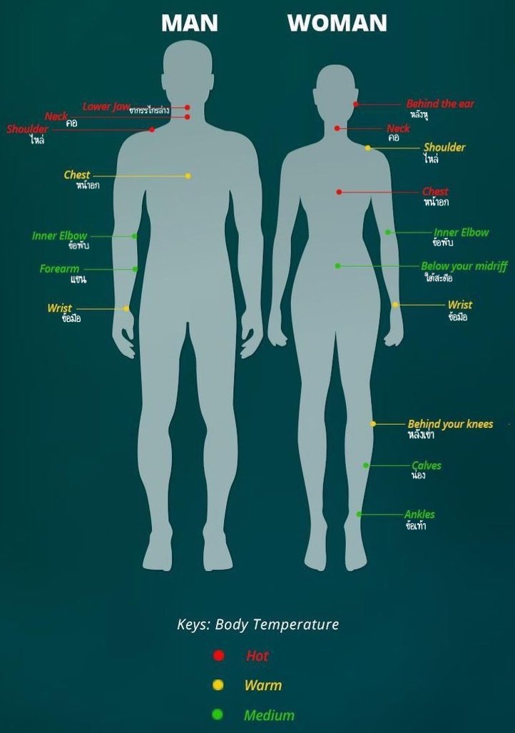 ตั้งแต่ค้นพบวิธีฉีดน้ำหอมให้ทน นี่โดนทักเรื่องตัวหอมตลอด ทริคจุดฉีดน้ำหอมให้อยู่ทน กลิ่นฟุ้งกระจายดี ✨

-ฉีดตามจุดชีพจร ไม่ได้ฉีดทุกจุกในรูปนะ เน้นฉีดแค่จุดสีแดง (อุณหภูมิสูง) กับจุดสีเหลืองก่อน ฉีดเสร็จห้ามถู ปล่อยไว้จนแห้งเองเลย (เลือกแค่ 2-3 จุดพอค่ะ)

***น้ำหอมที่ฉีดถ้าเป็น