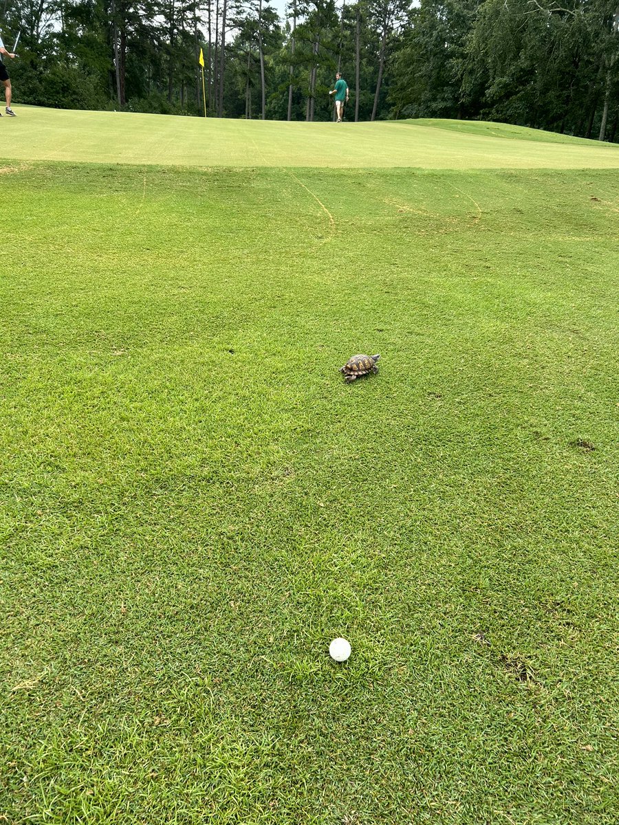 cool guy tweet media