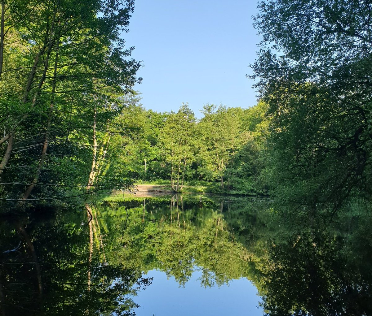 Wimbledon and Putney Commons tweet media