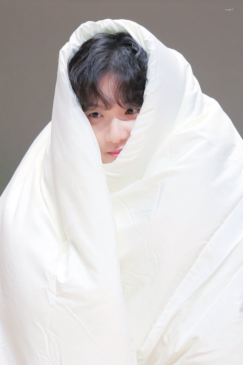 onedreamlight's tweet photo. ILLIE: THE BABY polar BEAR https://t.co/IxwAErkvsQ