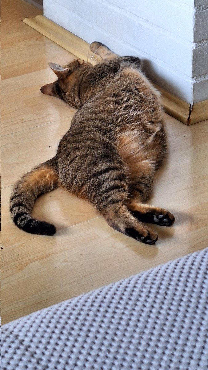 Wallyl4ever's tweet photo. Nap time #Part56 https://t.co/M38lzLtps6