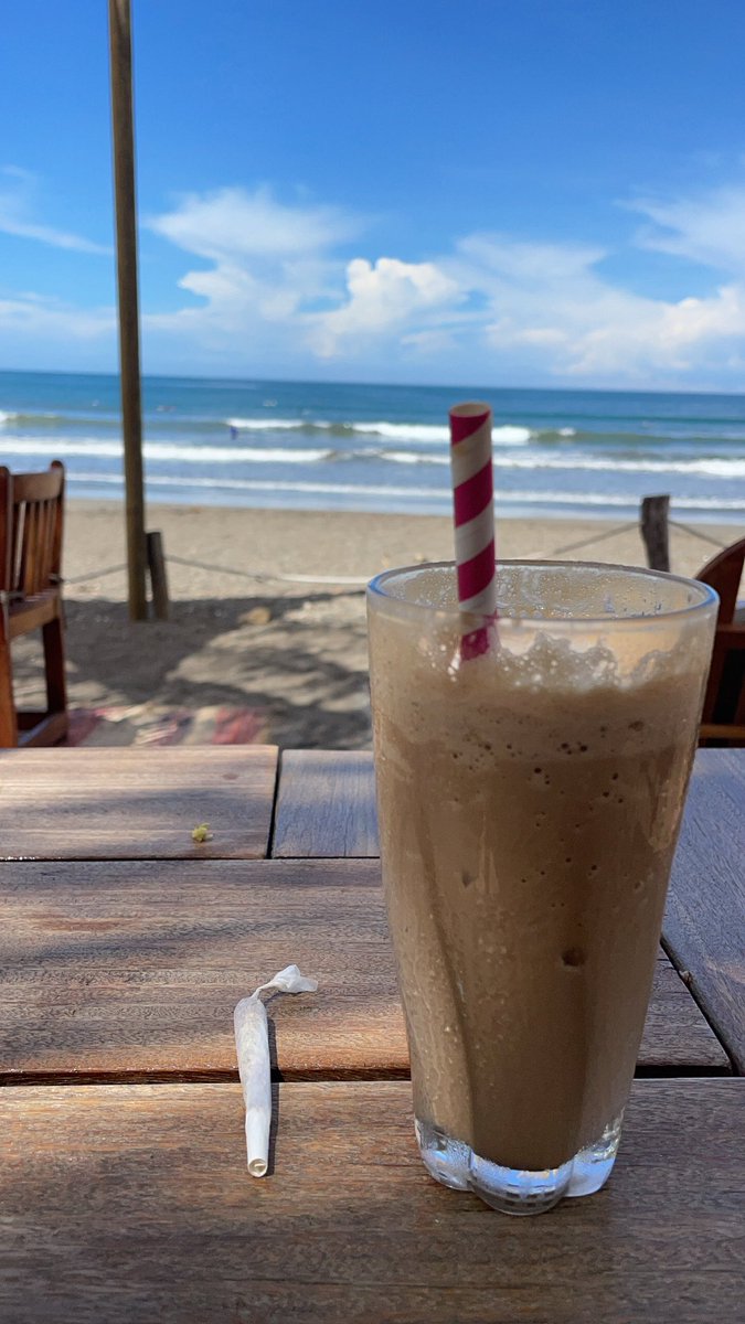 Little Mustacho 🐕 tweet media