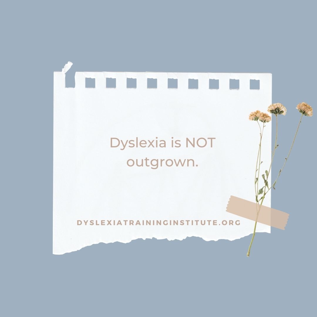 Dyslexia Training Institute tweet media