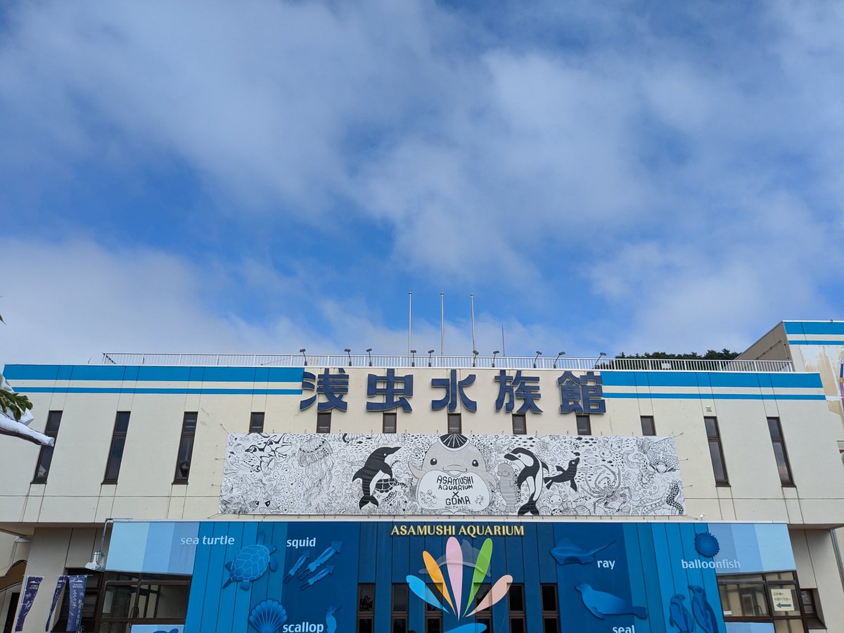 Chromis_sp's tweet photo. 浅虫水族館初めて行った🐟️
大水槽にホタテ養殖を段階ごとに再現していたのが面白かった。 https://t.co/001Je0aD3w