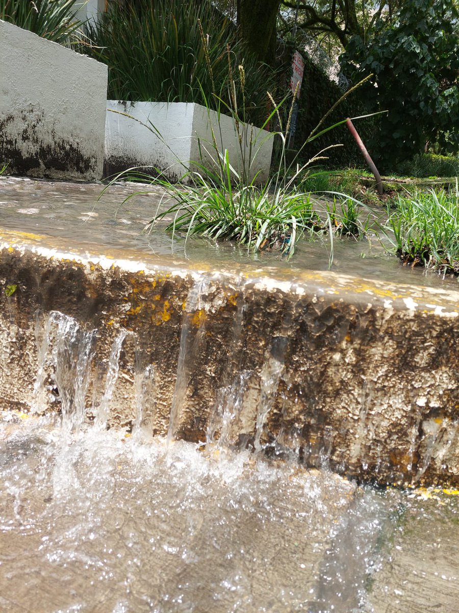 Hay una #fuga de agua potable desde ayer #enorme como cascada en un terrenos junto a Arteaga y Salazar 792, Contadero.
Urge atenderla atención @AlcCuajimalpa <a href="/conagua_mx/">Conagua</a>