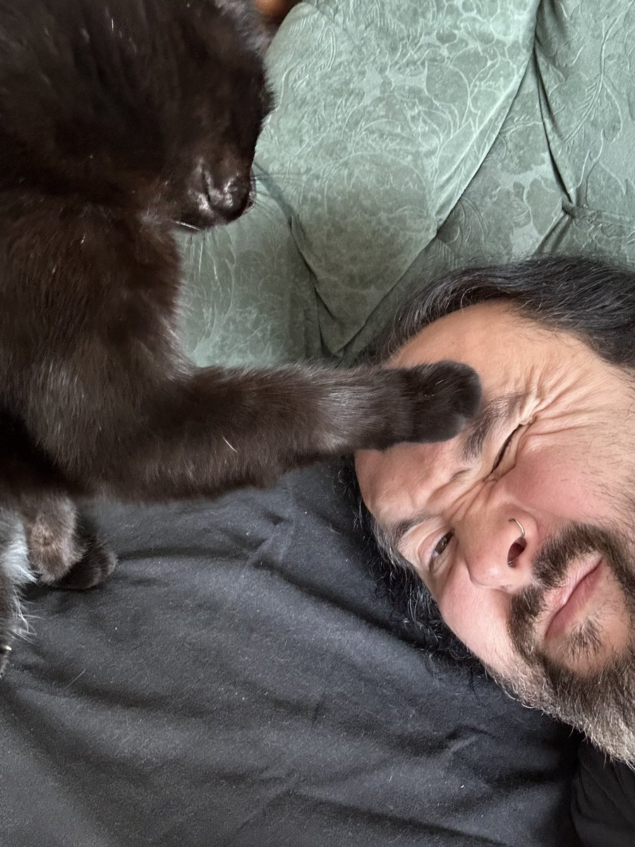 #BlackCatAppreciationDay