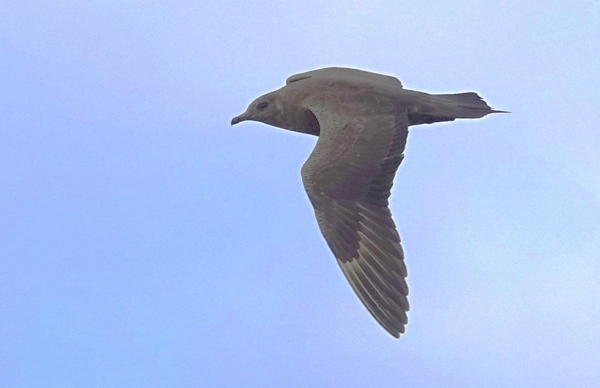 TheLoneKayaker tweet media