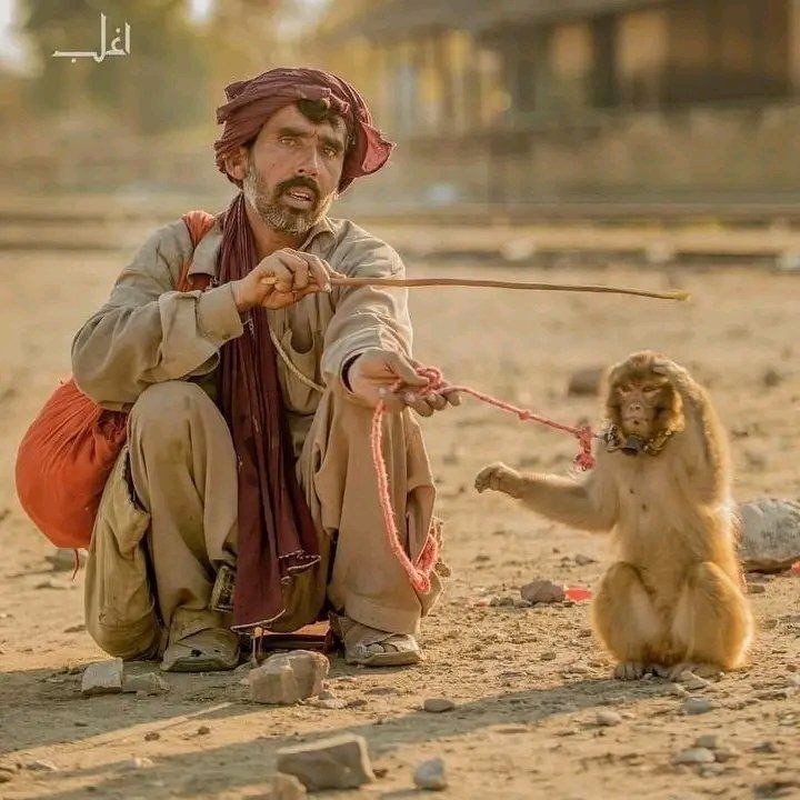 mpanktiya's tweet photo. "हर वो कामयाबी हार है"
"जिसका मकसद सिर्फ हर किसी को नीचा दिखाना है"। https://t.co/50rINxILNn
