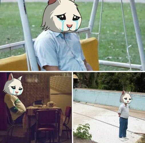 David Gokhshtein tweet media