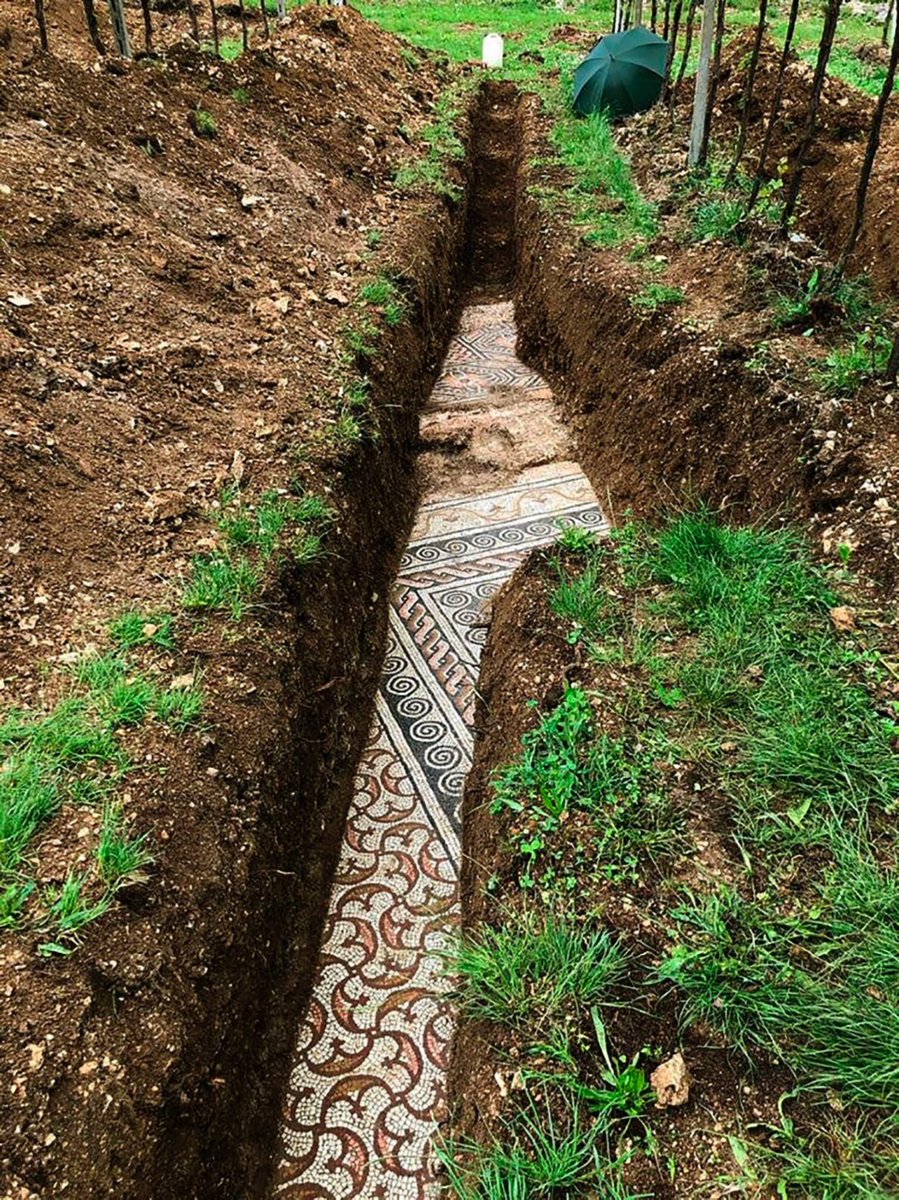 GanaConArte's tweet photo. 4. Mosaico romano hallado bajo un viñedo italiano https://t.co/HM32E4Eexp