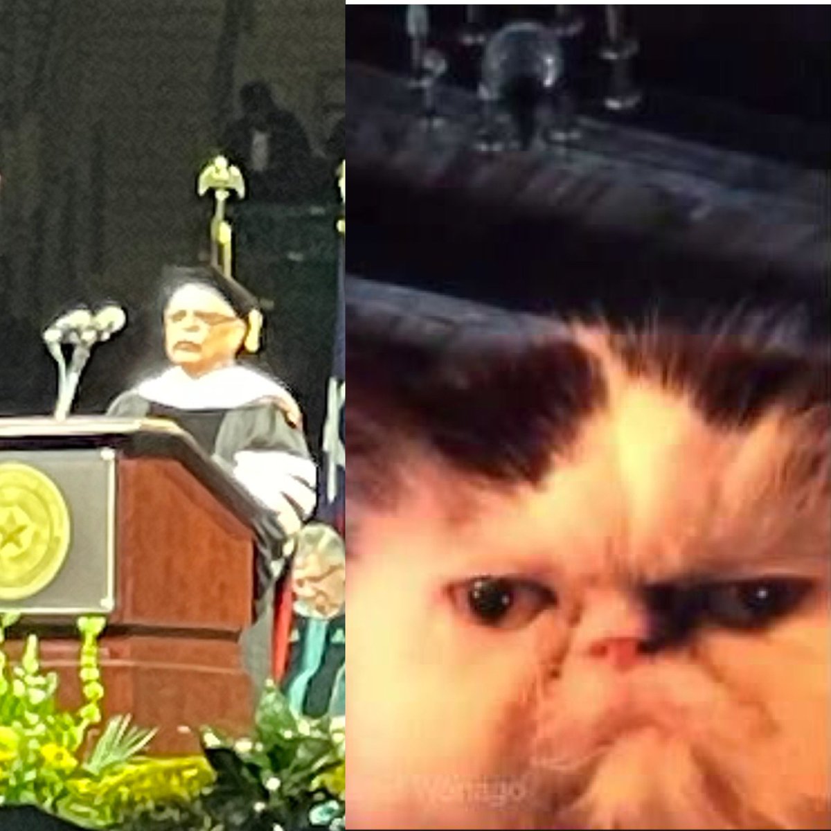 jkjar's tweet image. Same vibes