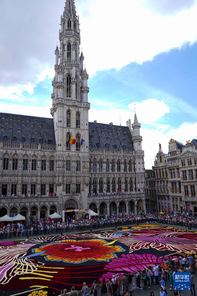 Photo prise le 15 août, montrant le tapis de fleurs déployé sur la célèbre Grand-Place de Bruxelles, en Belgique. Cet événement se tient tous les deux ans depuis 1970.