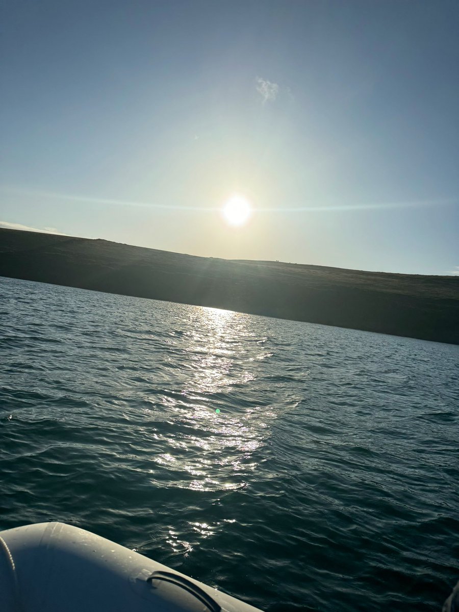 Gullible tweet media