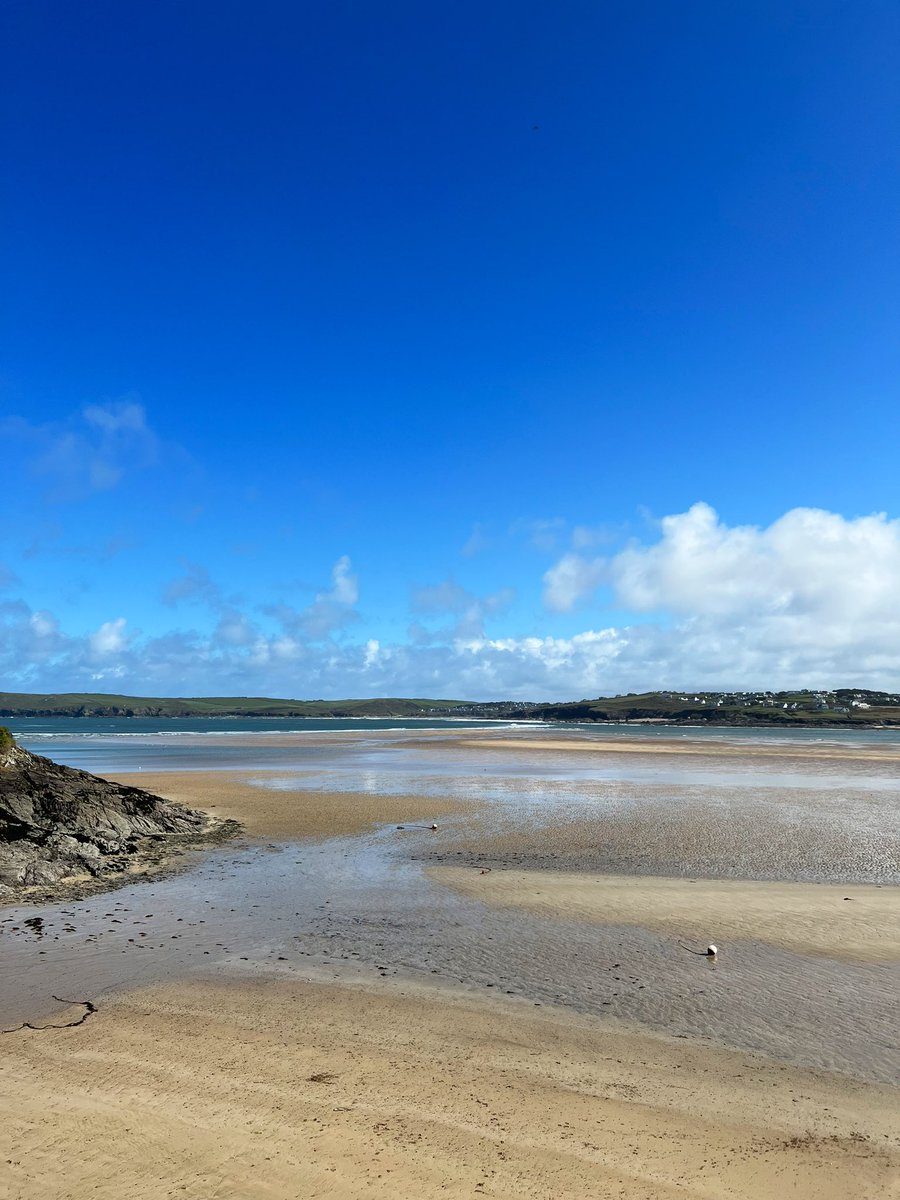 Gullible tweet media