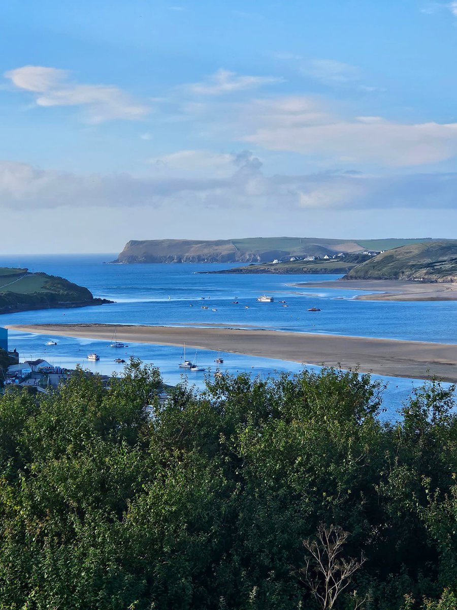 Gullible tweet media