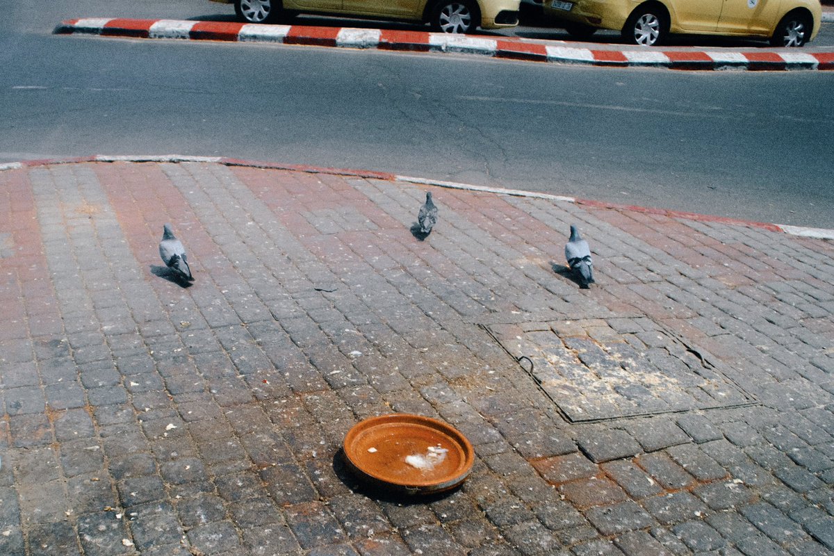 Dans les rues de Marrakech, juin 2024

IG: sophia.bil