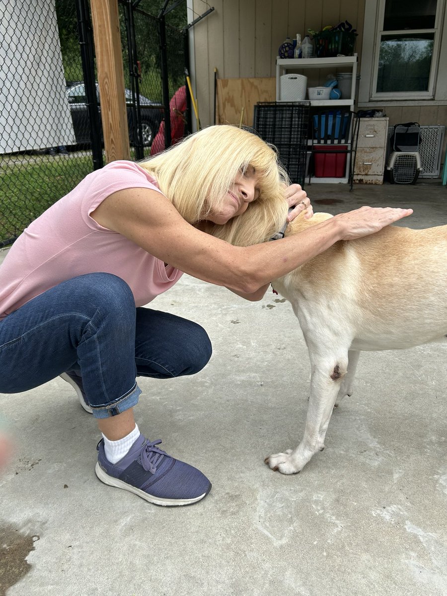 Melissa Warner tweet media