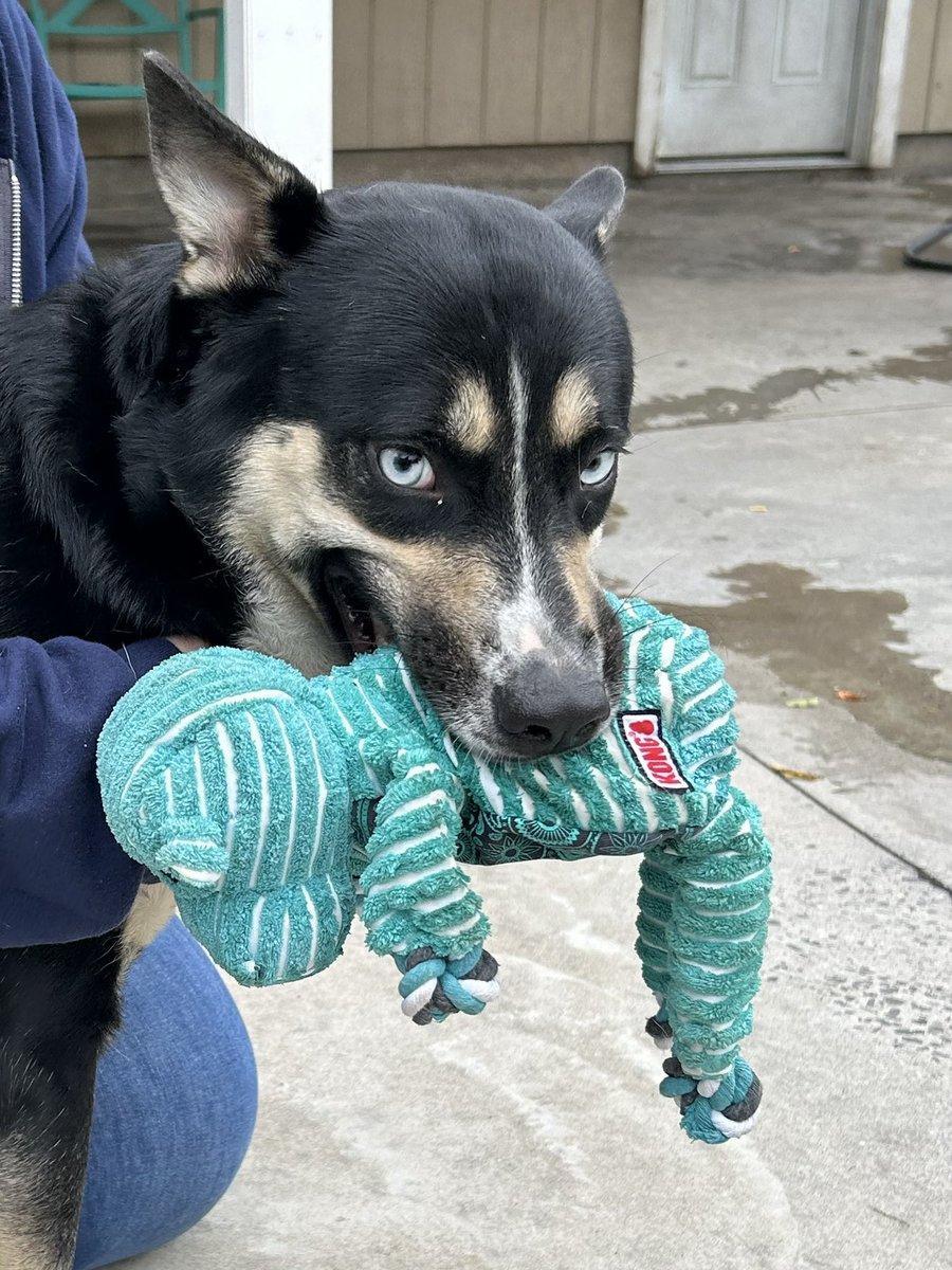 Melissa Warner tweet media