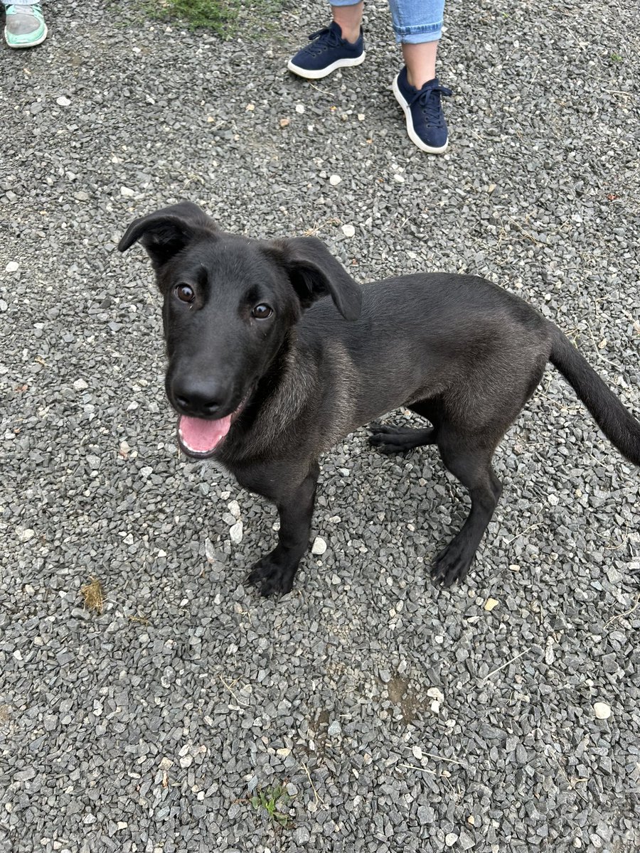 Melissa Warner tweet media