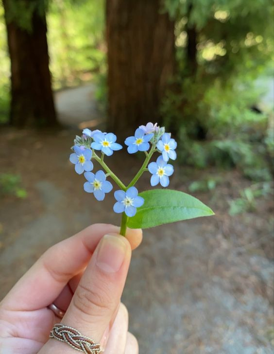 artindetails's tweet photo. when nature speaks https://t.co/5BcBsInGSm