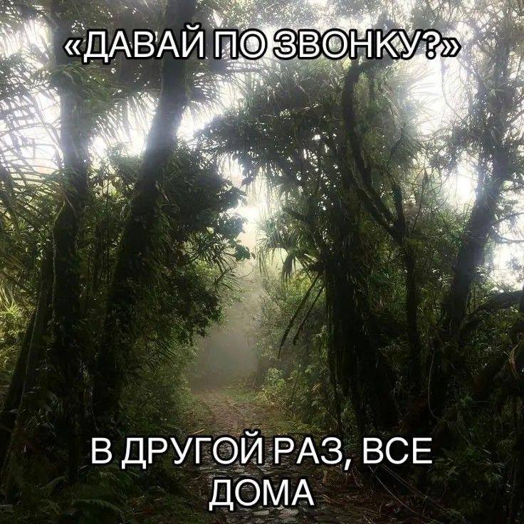 A_Lute993's tweet photo. https://t.co/WQu1fgk69h