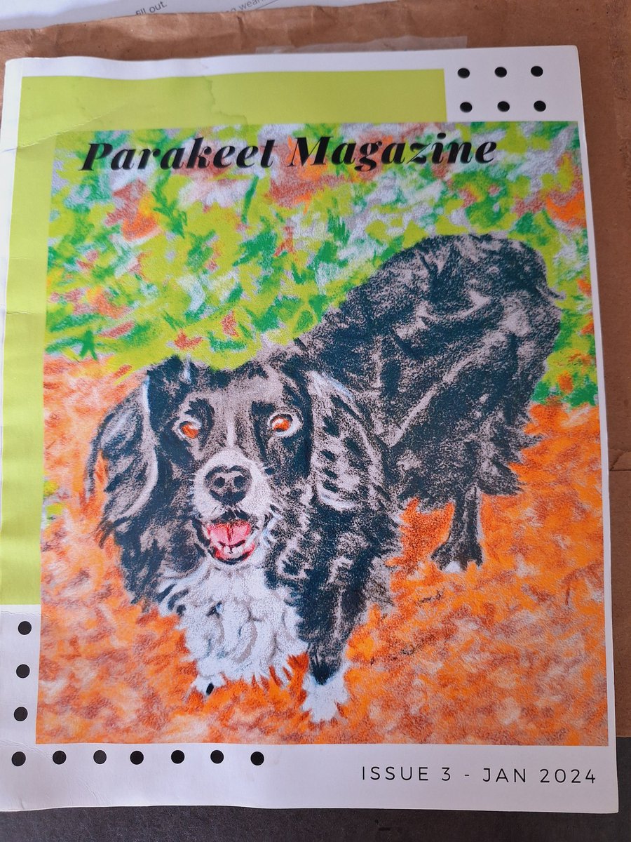 Laura Cooney: Kids tweet media