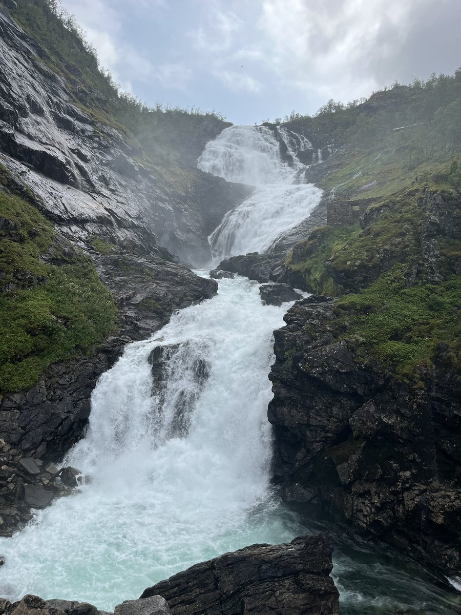 Frans Dijkstra tweet media