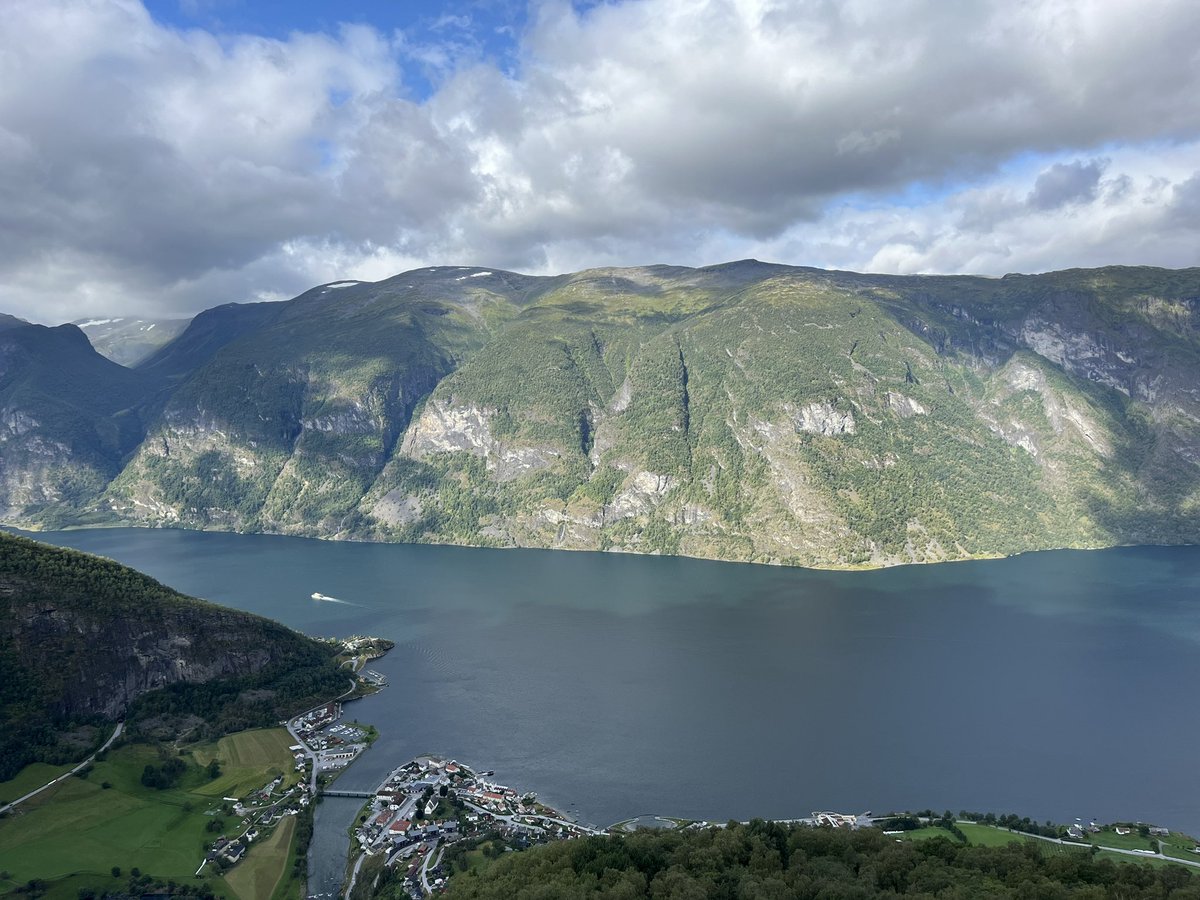 Frans Dijkstra tweet media