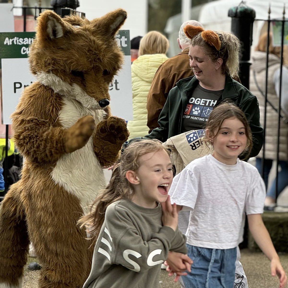 USPCA_Official's tweet image. Freddy the Fox visits Wake the Giant Festival in Warrenpoint! 🦊

It was amazing to see the outpouring of support for our Together campaign today, as we met so many people that want to see a ban on hunting with dogs in Northern Ireland! 

#EndHuntingWithDogs #TimeForChange