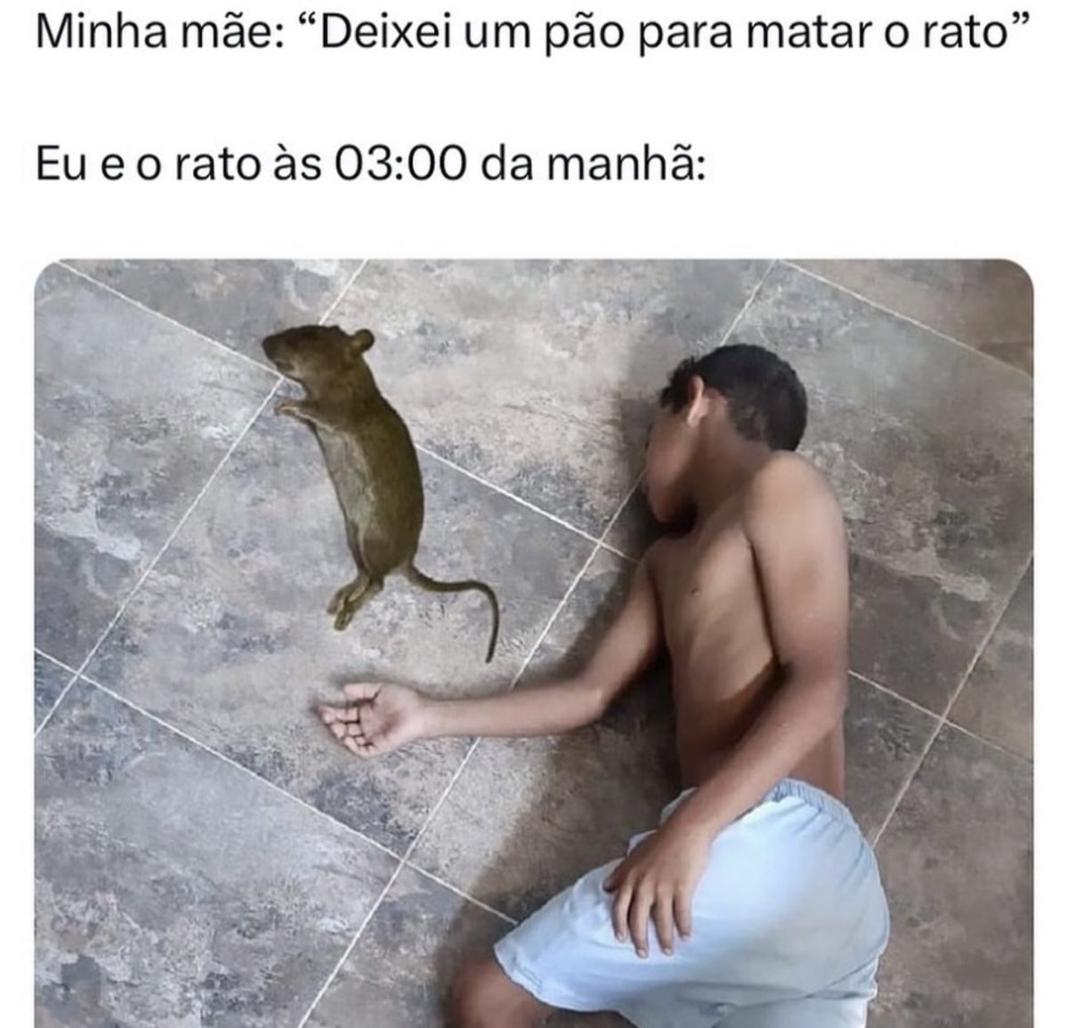 Shitpost só que de verdade tweet media