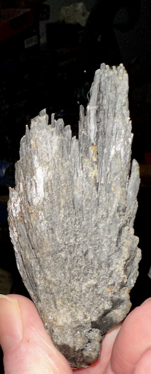 MoonChild_W333's tweet photo. #CrystalShowAndTell #BlackKyanite an aluminum-rich silicate mineral that forms in pegmatites at extremely high pressure. It crystallizes in the form of โfan-likeโ blades that can reach nearly half a foot in length! @aaronmread @Cosmic_Mystery0 very cool this has red Muscovite to. https://t.co/qfCY7xUv36